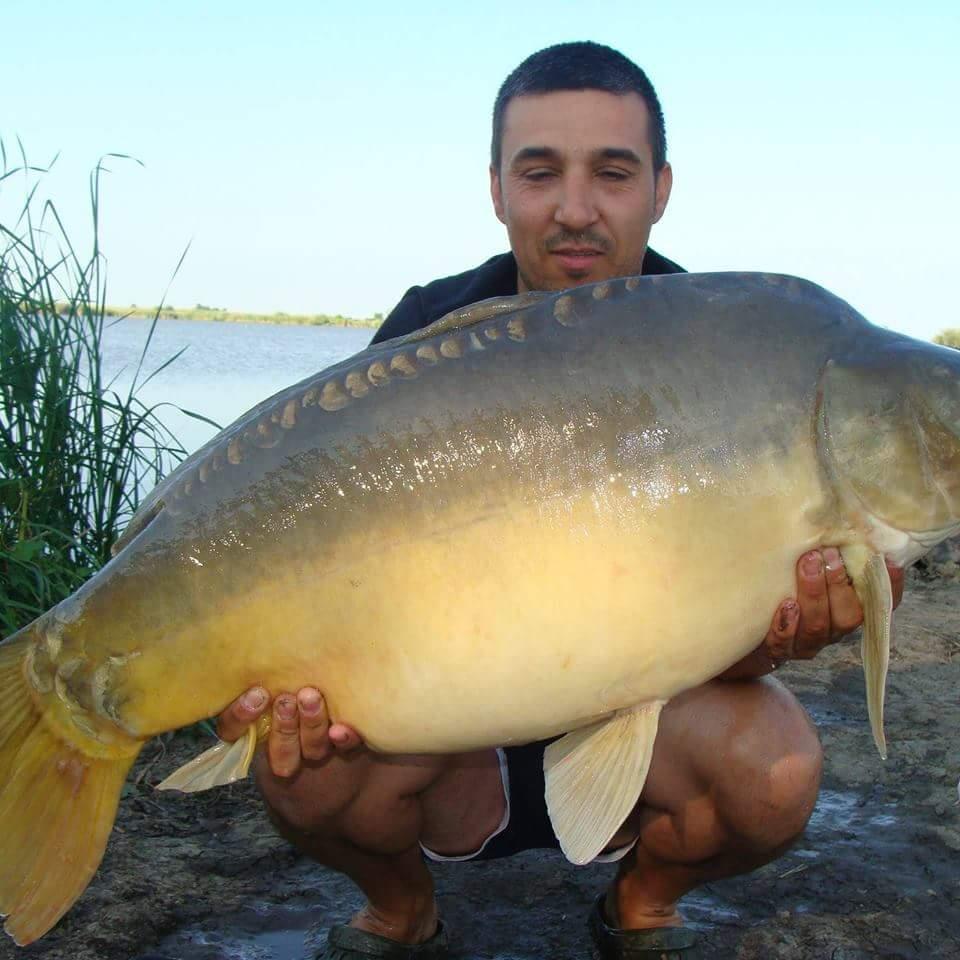 Pasiune - fbimg1506261573443.jpg